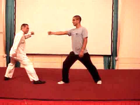 Wahnam Taijiquan