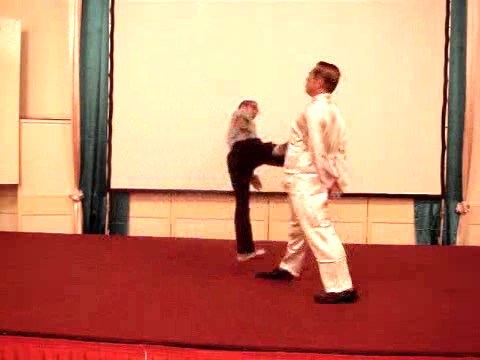 Wahnam Taijiquan Tai Chi Chuan