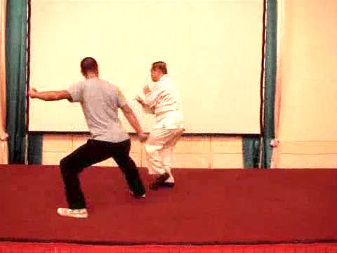 Wahnam Taijiquan