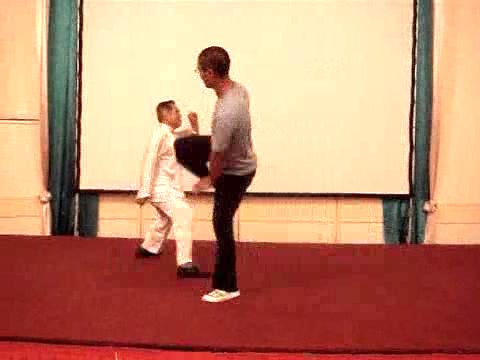 Wahnam Taijiquan