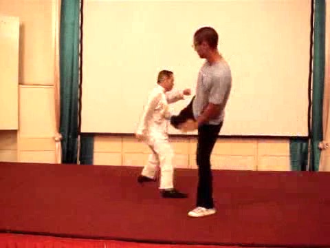 Wahnam Taijiquan