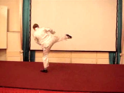 Wahnam Taijiquan