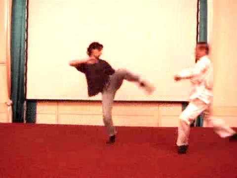 Wahnam Taijiquan