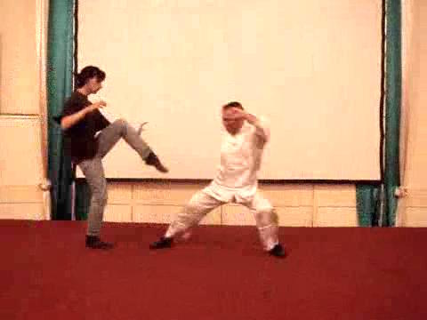 Wahnam Taijiquan Tai Chi Chuan