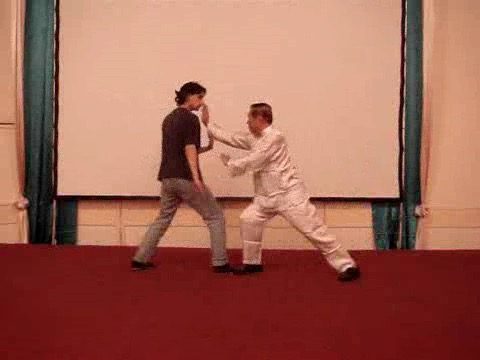 Wahnam Taijiquan Tai Chi Chuan