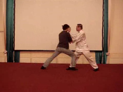 Wahnam Taijiquan