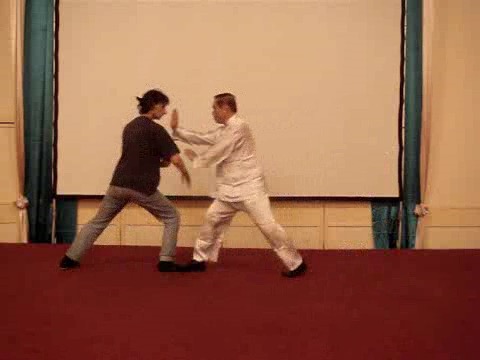 Wahnam Taijiquan