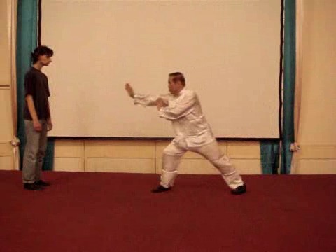 Wahnam Taijiquan