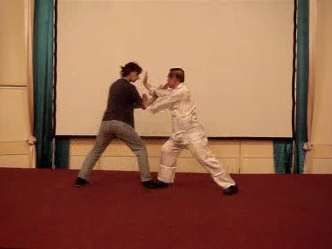 Wahnam Taijiquan