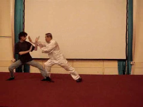 Wahnam Taijiquan