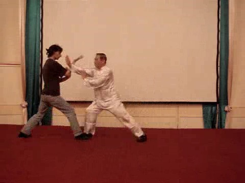 Wahnam Taijiquan