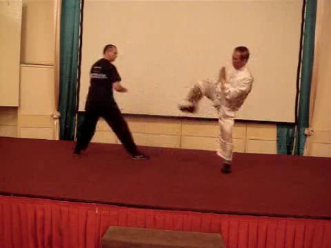 Wahnam Taijiquan