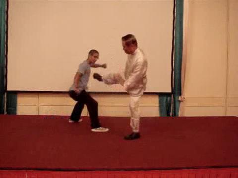 Wahnam Taijiquan