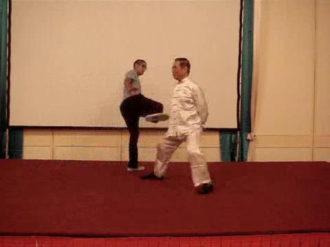 Wahnam Taijiquan