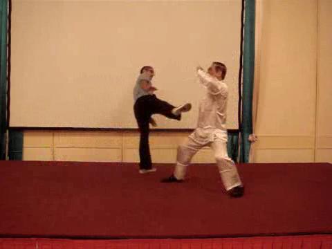 Wahnam Taijiquan