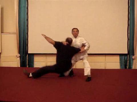 Wahnam Taijiquan