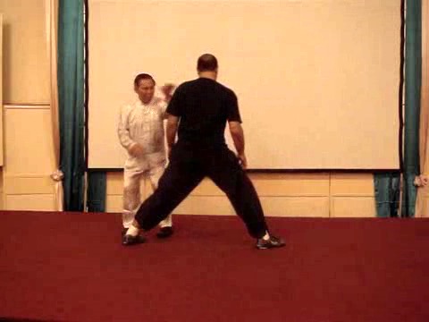 Wahnam Taijiquan