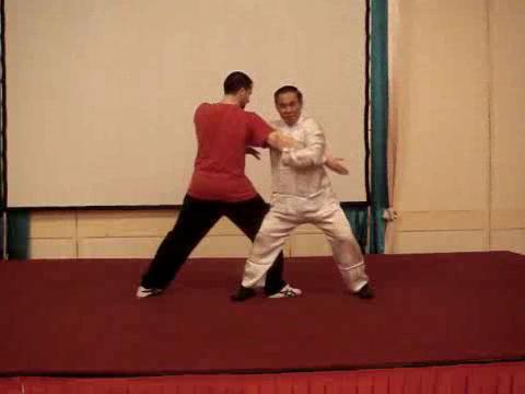 Wahnam Taijiquan