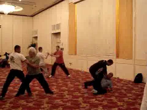 Wahnam Taijiquan