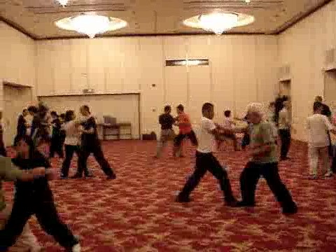 Wahnam Taijiquan Tai Chi Chuan