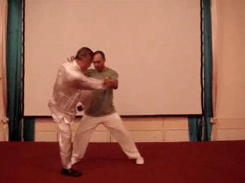 Wahnam Taijiquan