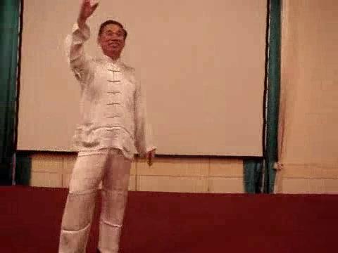 Wahnam Taijiquan