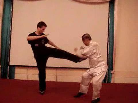 Wahnam Taijiquan Tai Chi Chuan