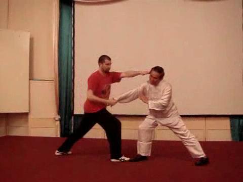 Wahnam Taijiquan Tai Chi Chuan