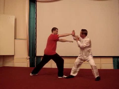 Wahnam Taijiquan