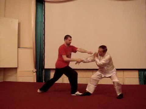 Wahnam Taijiquan