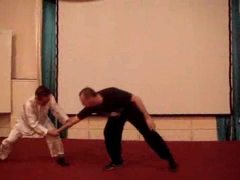 Wahnam Taijiquan Tai Chi Chuan