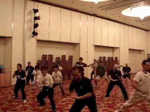 Wahnam Taijiquan Tai Chi Chuan