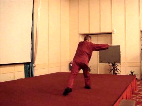 Wahnam Taijiquan, Tai Chi Chuan