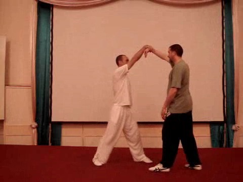 Wahnam Taijiquan Tai Chi Chuan