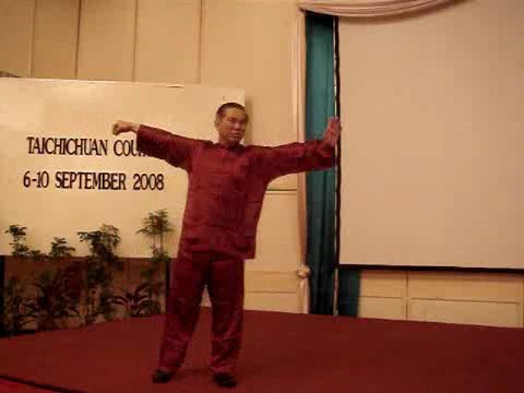 Wahnam Taijiquan Tai Chi Chuan