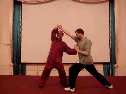 Wahnam Taijiquan