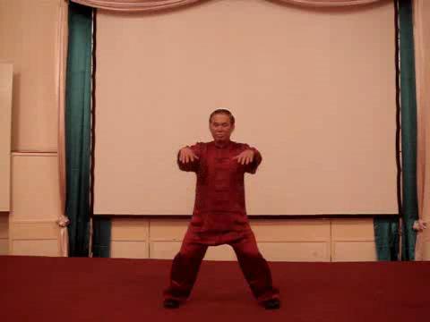 Wahnam Taijiquan