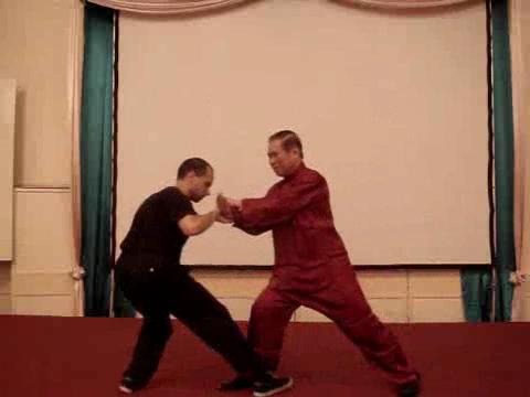 Wahnam Taijiquan Tai Chi Chuan