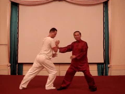 Wahnam Taijiquan