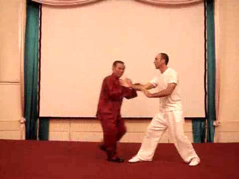 Wahnam Taijiquan