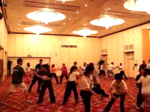 Wahnam Taijiquan Tai Chi Chuan