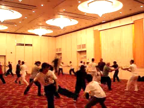 Wahnam Taijiquan