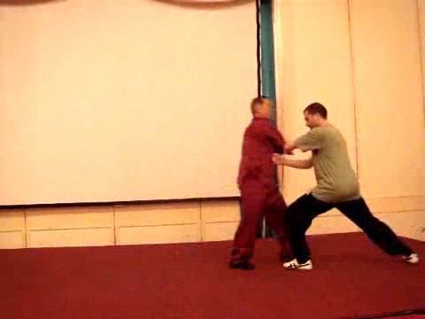 Wahnam Taijiquan