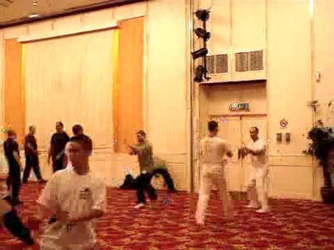 Wahnam Taijiquan