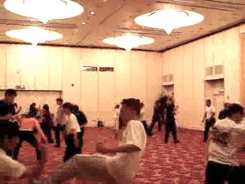 Wahnam Taijiquan