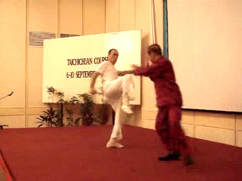 Wahnam Taijiquan, Tai Chi Chuan