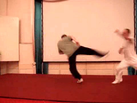 Wahnam Taijiquan