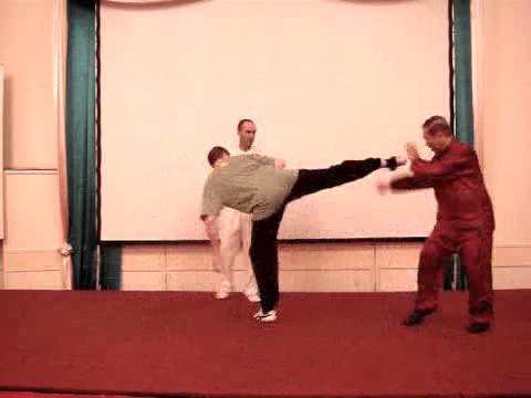 Wahnam Taijiquan Tai Chi Chuan