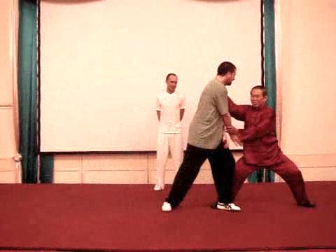 Wahnam Taijiquan