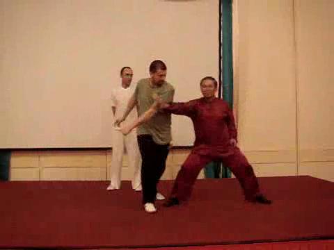 Wahnam Taijiquan